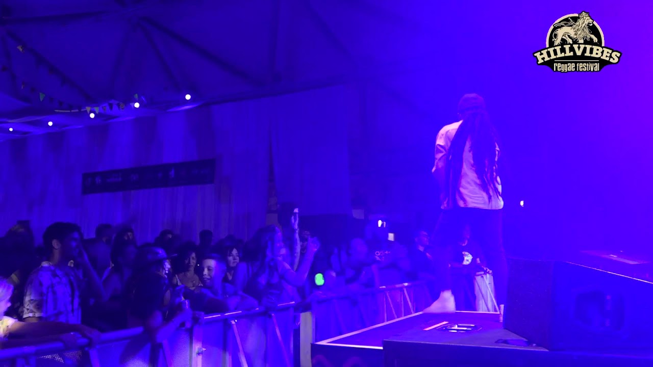 Mellow Mood- Live at Hill Vibes Festival 2024