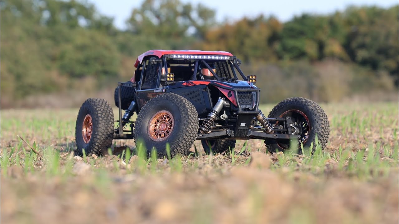 LOSI  LASERNUT BILAN APRÈS UN AN