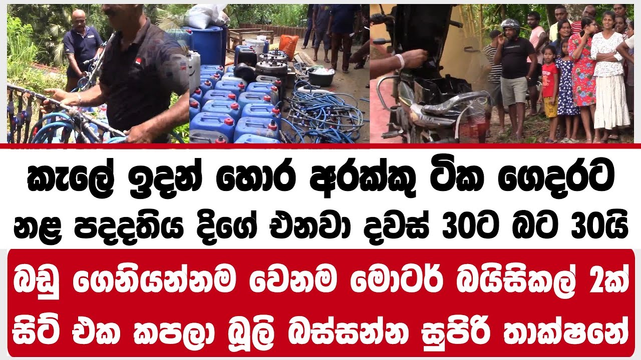 කැලේ ඉදන් හොර අරක්කු  ටික ගෙදරට නළ පදදතිය දිගේ  එනවා දවස් 30ට බට 30යි සුපිරි තාක්ෂනේ