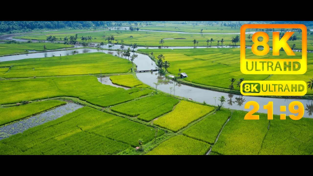 [21:9] Wonders of Vietnam 🇻🇳 | Cinematic 8K Travel Experience