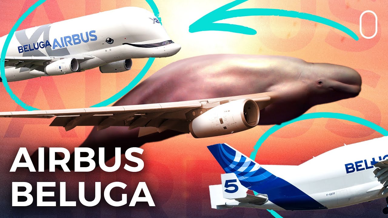 Why Didn’t Airbus Base The BelugaXL On The A330-800?