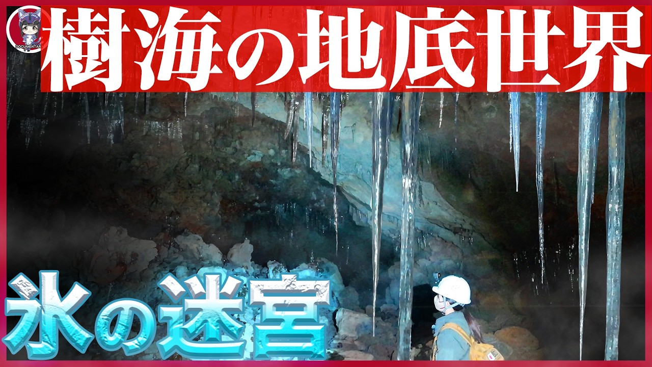 【青木ヶ原樹海】禁断の地底世界…地下に広がる「氷の迷宮」に潜入