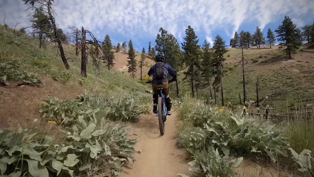 Stairway to Heaven Trail In Wenatchee WA