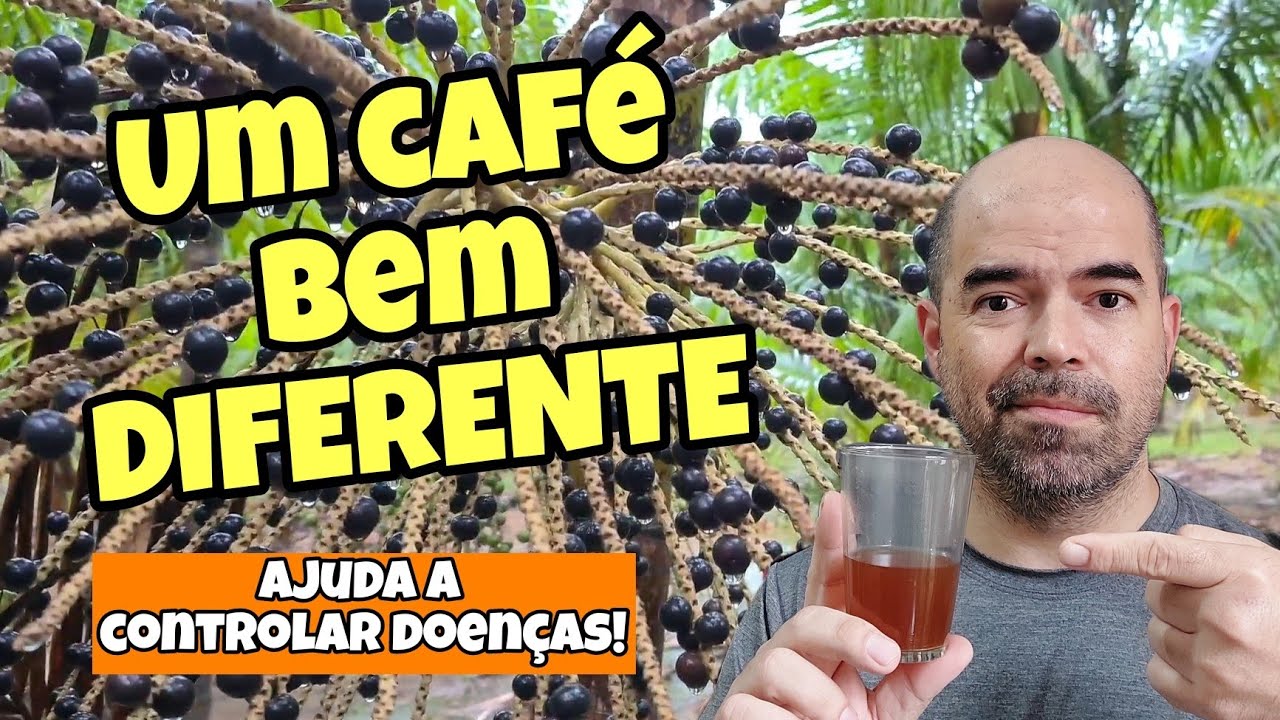 CONHEÇA O CAFÉ DE AÇAÍ | CAFÉ DO CAROÇO DE AÇAÍ - PANC