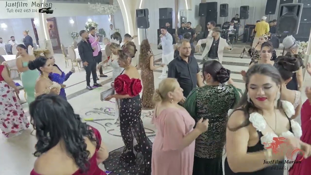 Nunta  Alex si Tania in bucuresti cu leo de la kuweit si frati de aur 24 iunie 2024 #Justfilm marian