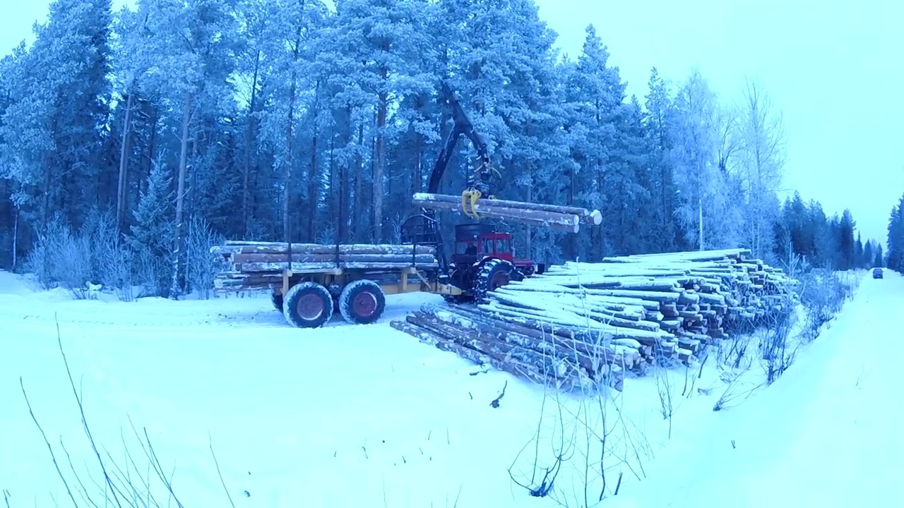 Volvo BM Skogsboxer kör massaved, Hankintapuun ajossa