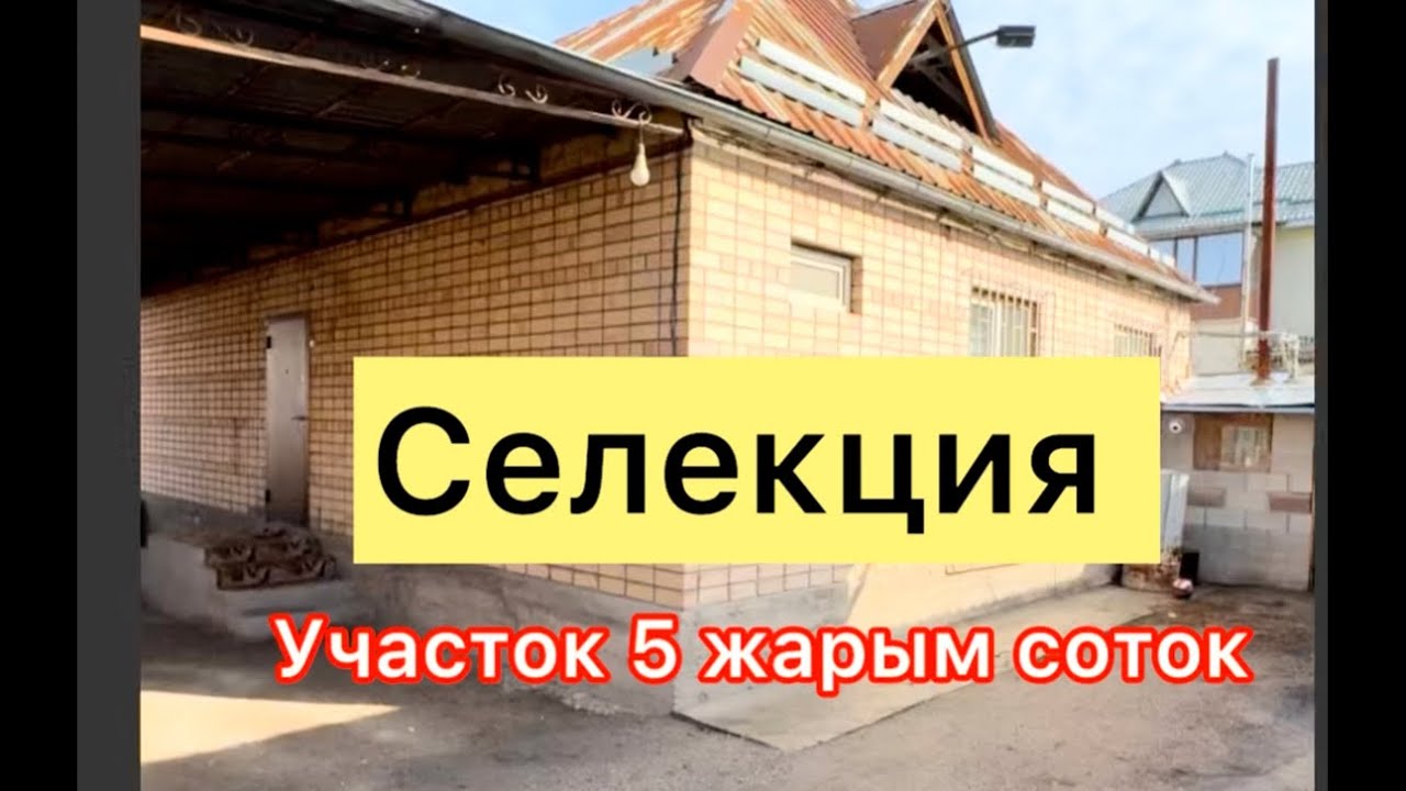 Селекция там сатылат жайгашкан жери аябай жакшы