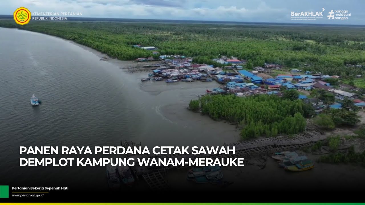 Panen Raya Perdana Cetak Sawah Demplot Kampung Wanam, Distrik Ilwayab - Merauke
