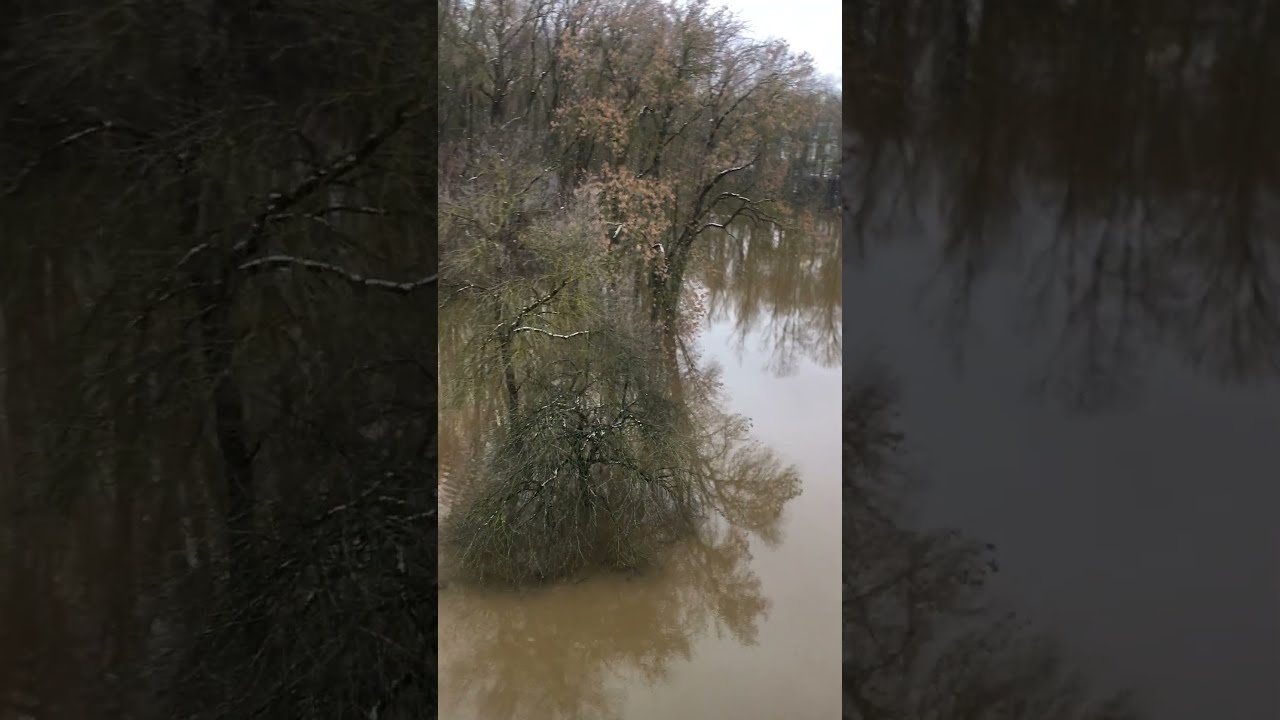 Вода на Витьбе продолжает прибывать
