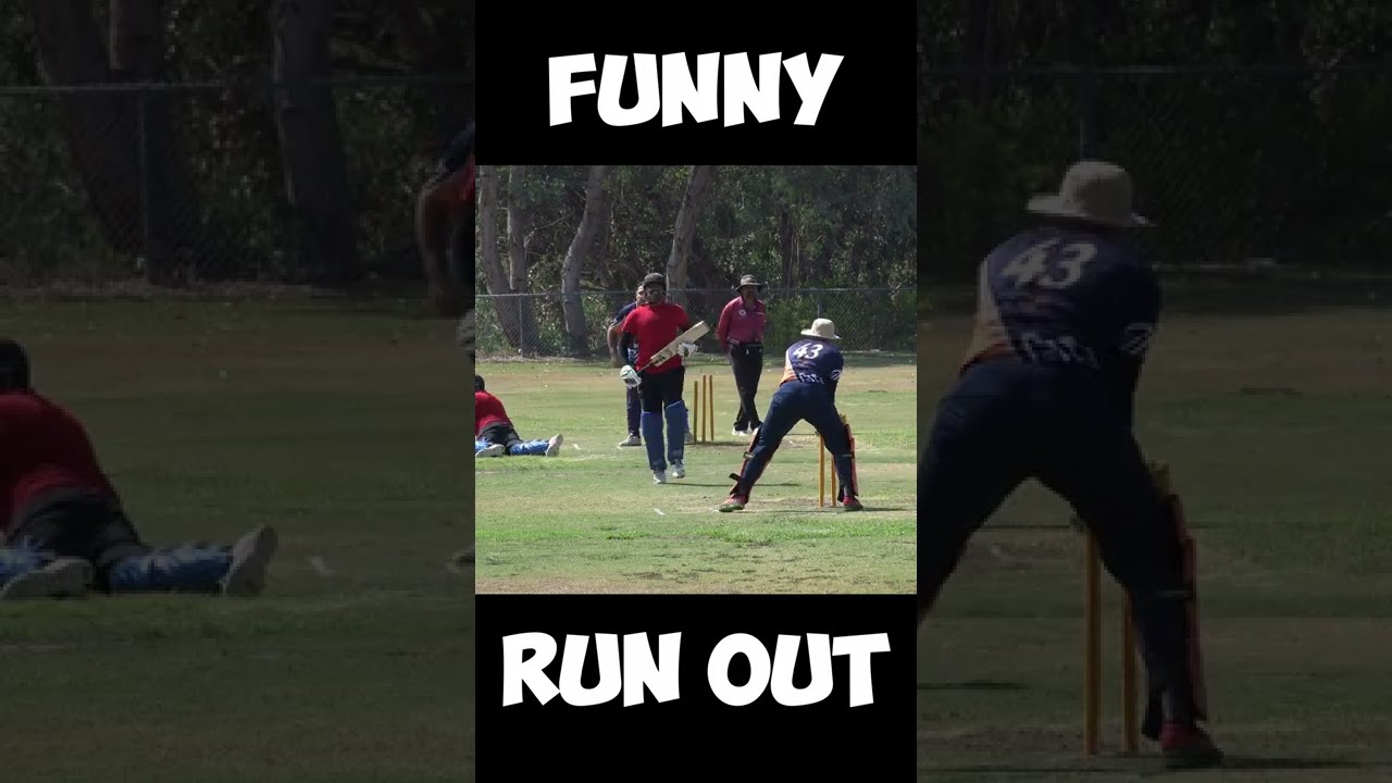 Funny RUN OUT | Village Cricket | GoPro Cricket Highlights |