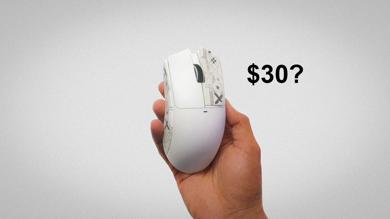 I Tested a $30 Mouse Against a Pro Mouse
