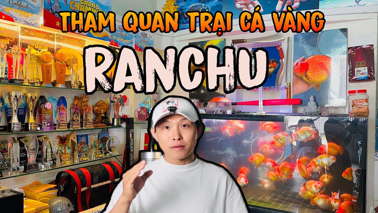 Tham Quan TRẠI CÁ VÀNG RANCHU KHỦNG | Ở Sài Gòn | Tuấn Cá Đây | Vlogs 2