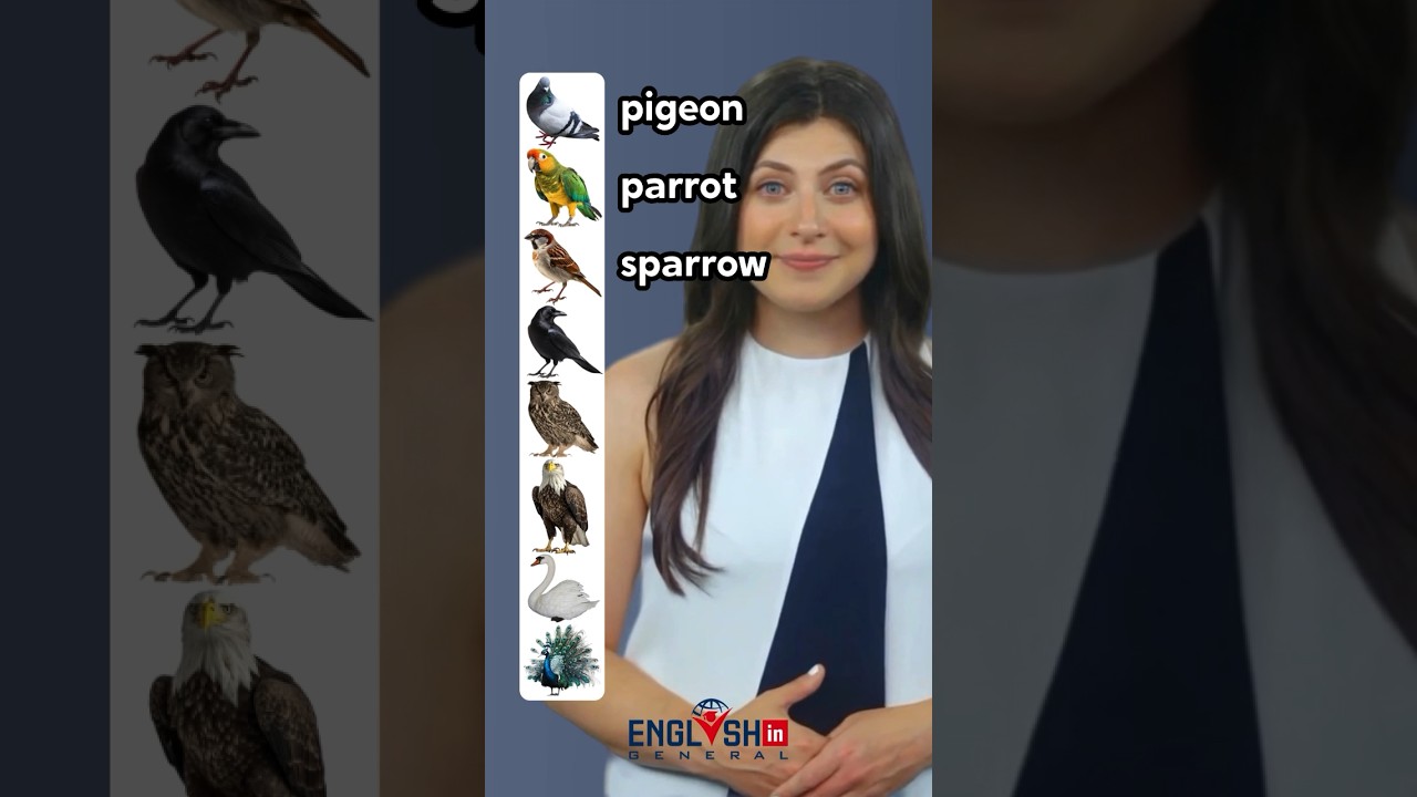 Bird Names in English