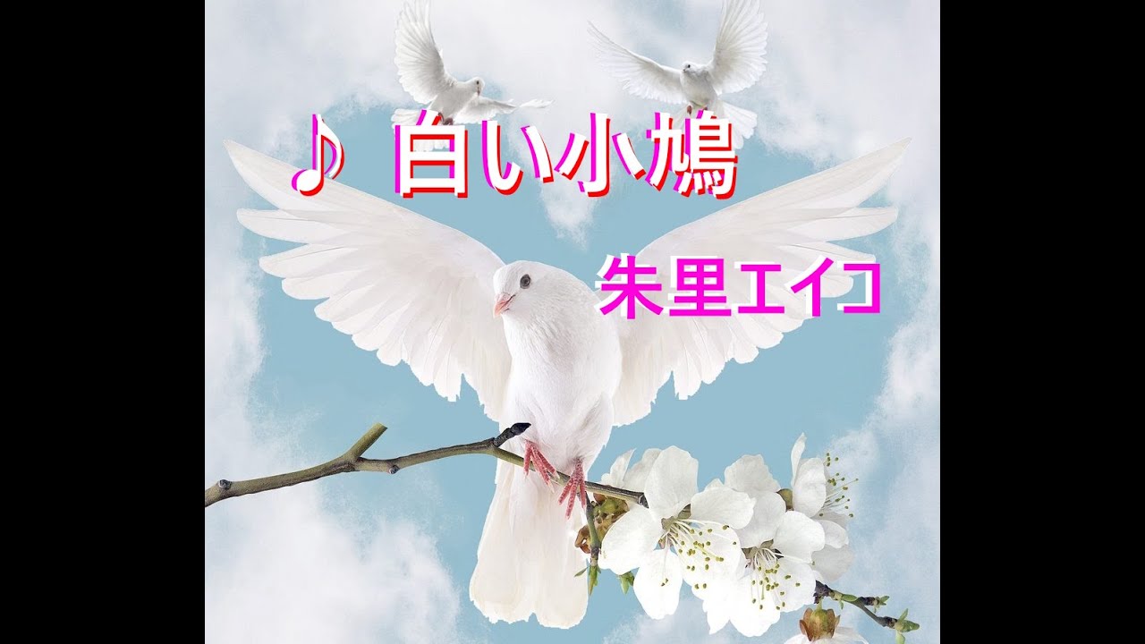 白い小鳩 faet. sugachan 歌詞入り
