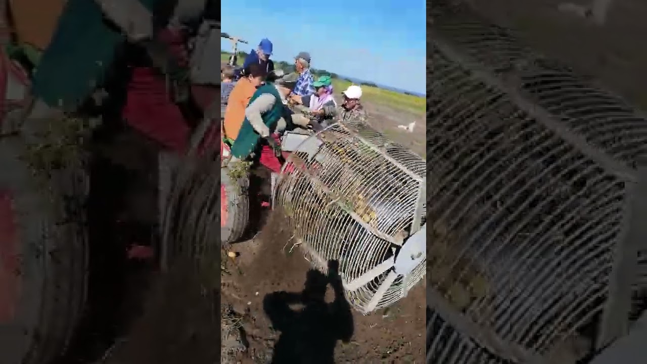 Combină de recoltat cartofi