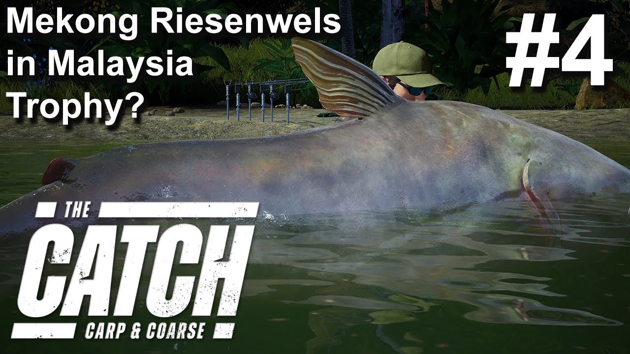 Mekong Riesenwels in Malaysia mit Trophy? | The Catch Carp & Coarse #4 | Gameplay | Deutsch | UwF