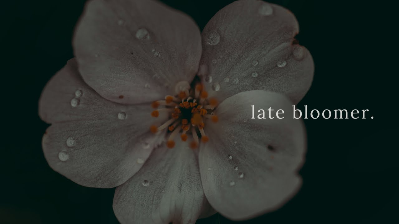a song for people who feel behind in life | 