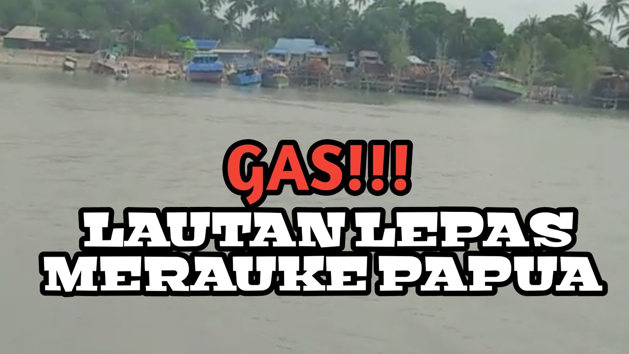 pemburu angkui(kakap cina). LAUTAN merauke papua #angkuijantan