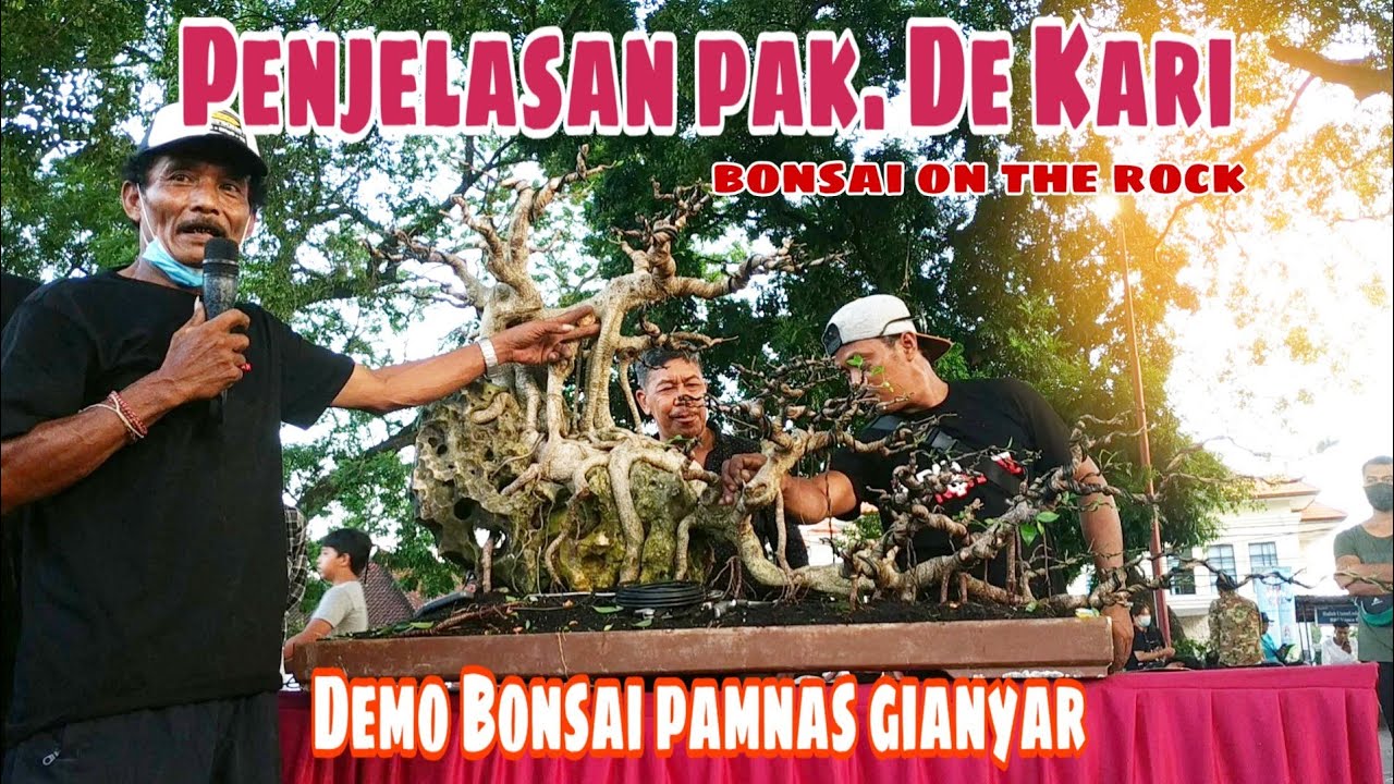 Demo bonsai  gianyar | penjelasan pak.de kari di pamnas gianyar 2022