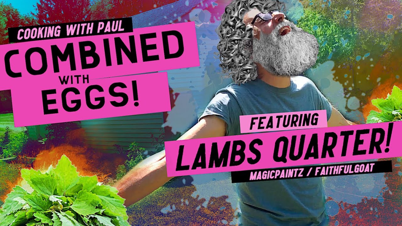 Combined with Eggs! #6 Lamb's Quarter! #cooking #cookingshow #fun #funny