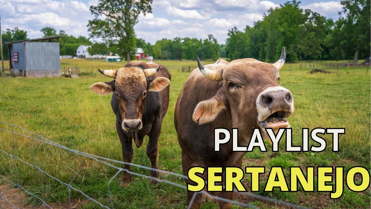 Caminhonete na Estrada: Sertanejo Raiz para o Interior