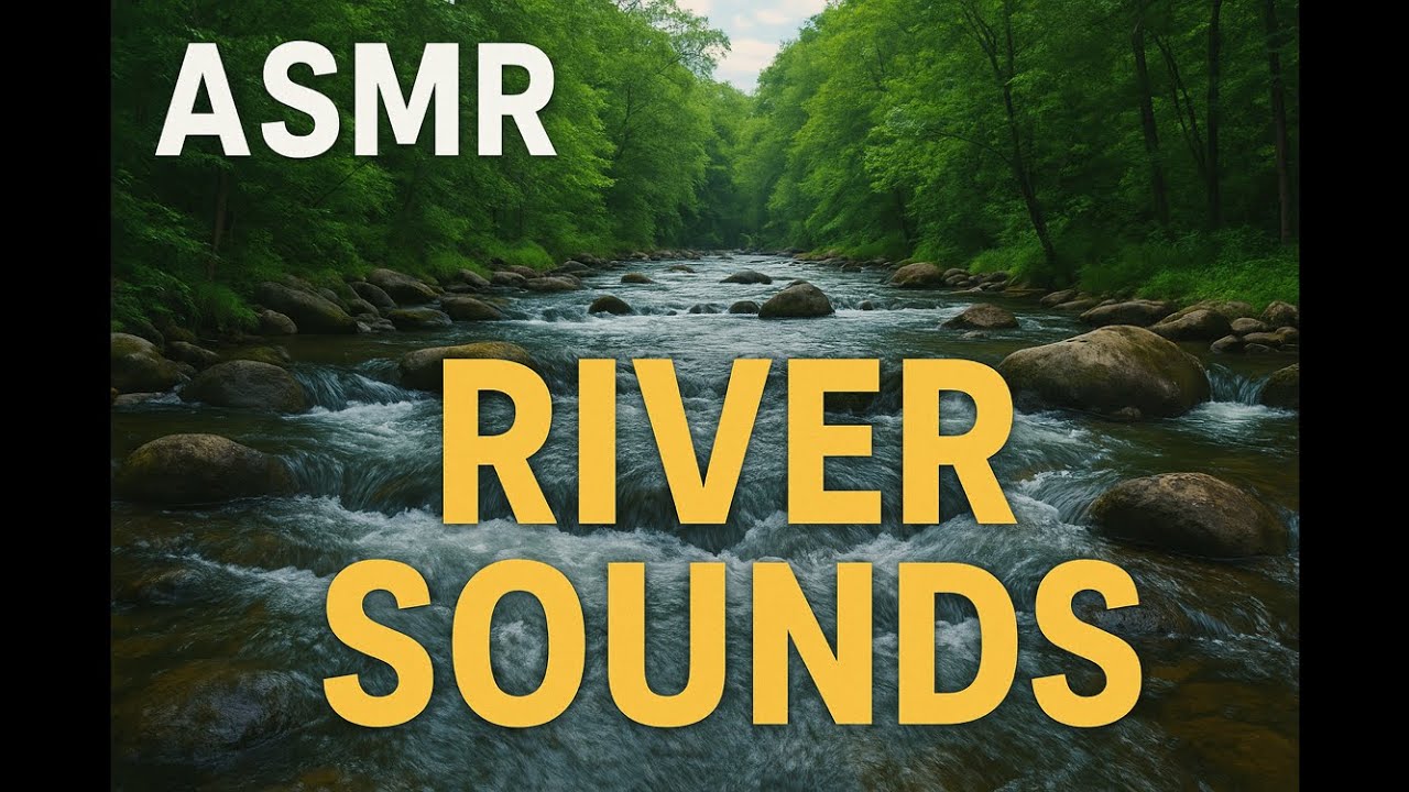 ASMR River – Río – Rio – Rivière (Black/Negra/Preta/Noir/黒画面)