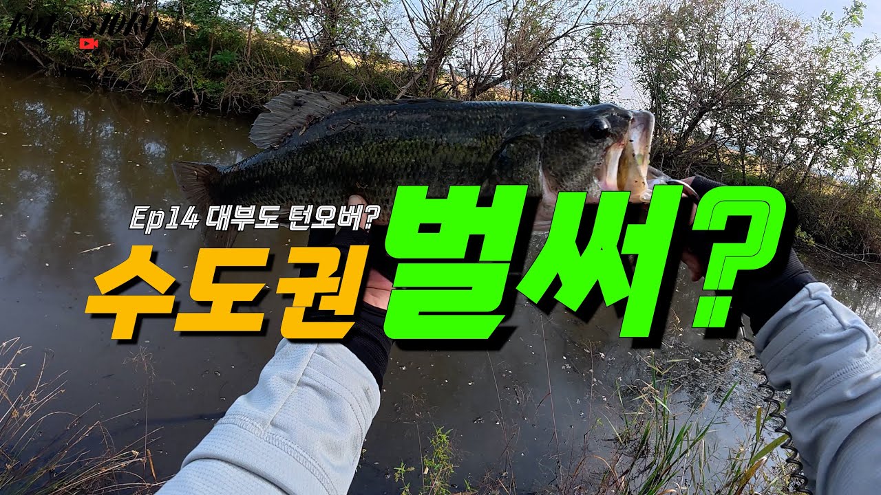 Ep14 대부도 턴오버? (Feat. 배스의 패턴은?)