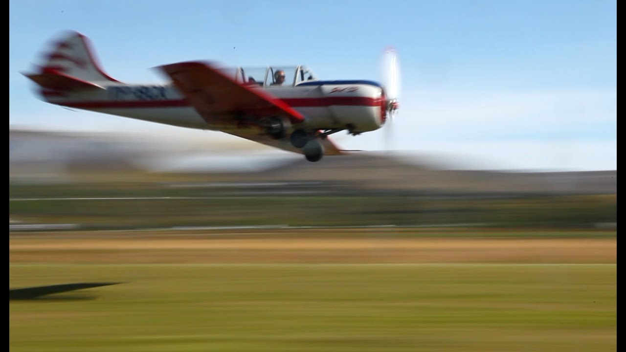 Yak 52 Display at Wings & Wheels 2022