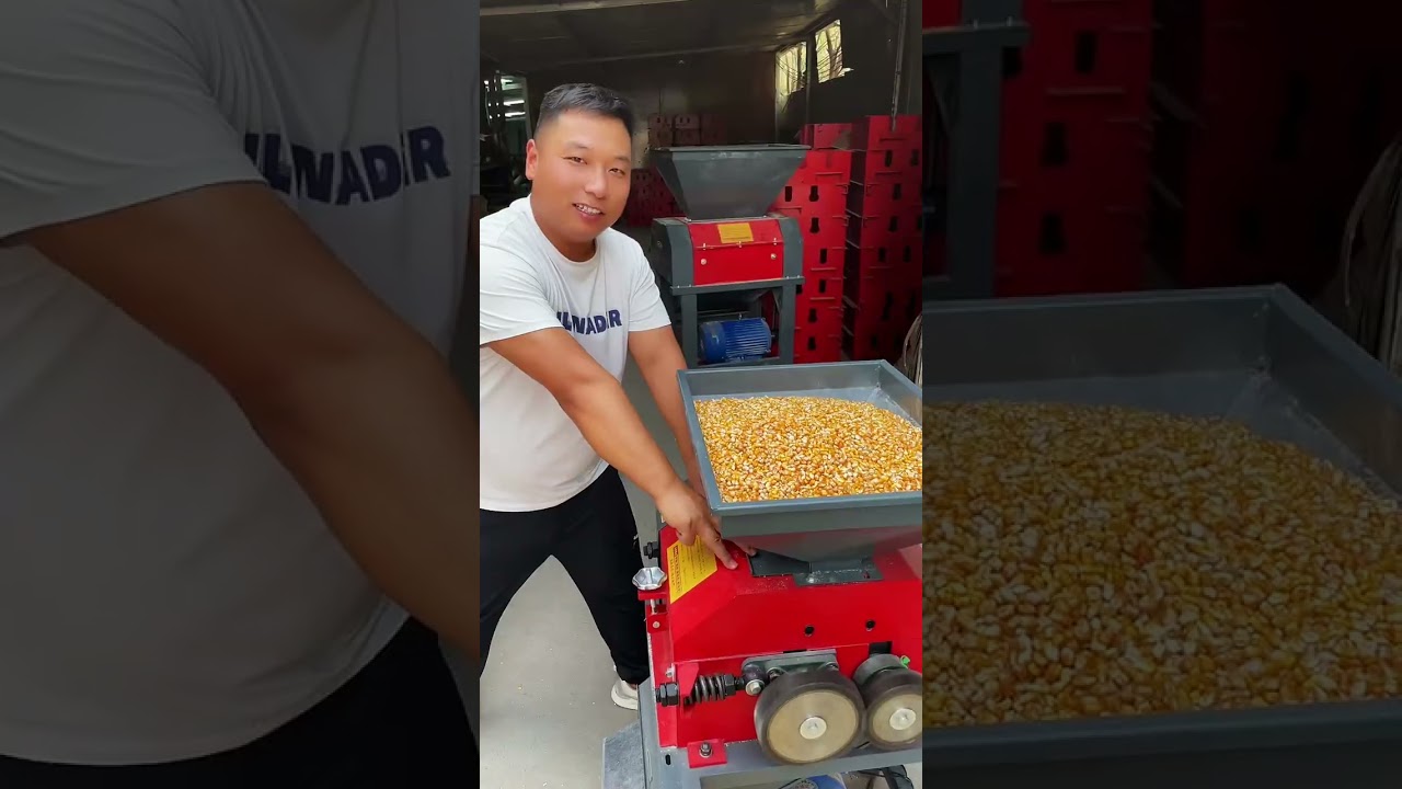 #Новая машина для измельчения лепестков кукурузы производительностью 8000 в час #Выращивание и от...