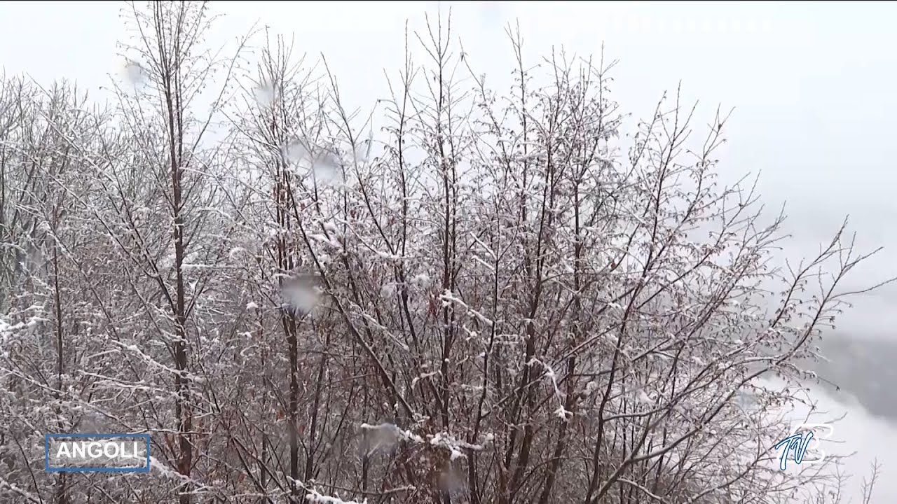 ANGOLI 29/1/2026: I GIORNI DELLA MERLA SI CONFERMANO TRA PIOGGIA, NEVE E FREDDO
