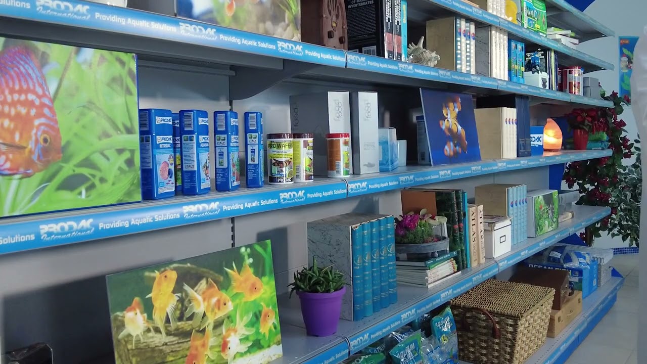 LA CORRETTA ALIMENTAZIONE