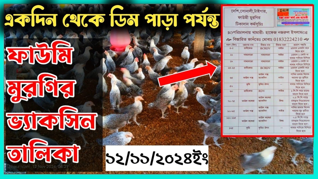 একদিন থেকে ডিম পাড়া পর্যন্ত ফাউমি মুরগির ভ্যাকসিন তালিকা || Chicken vaccine list