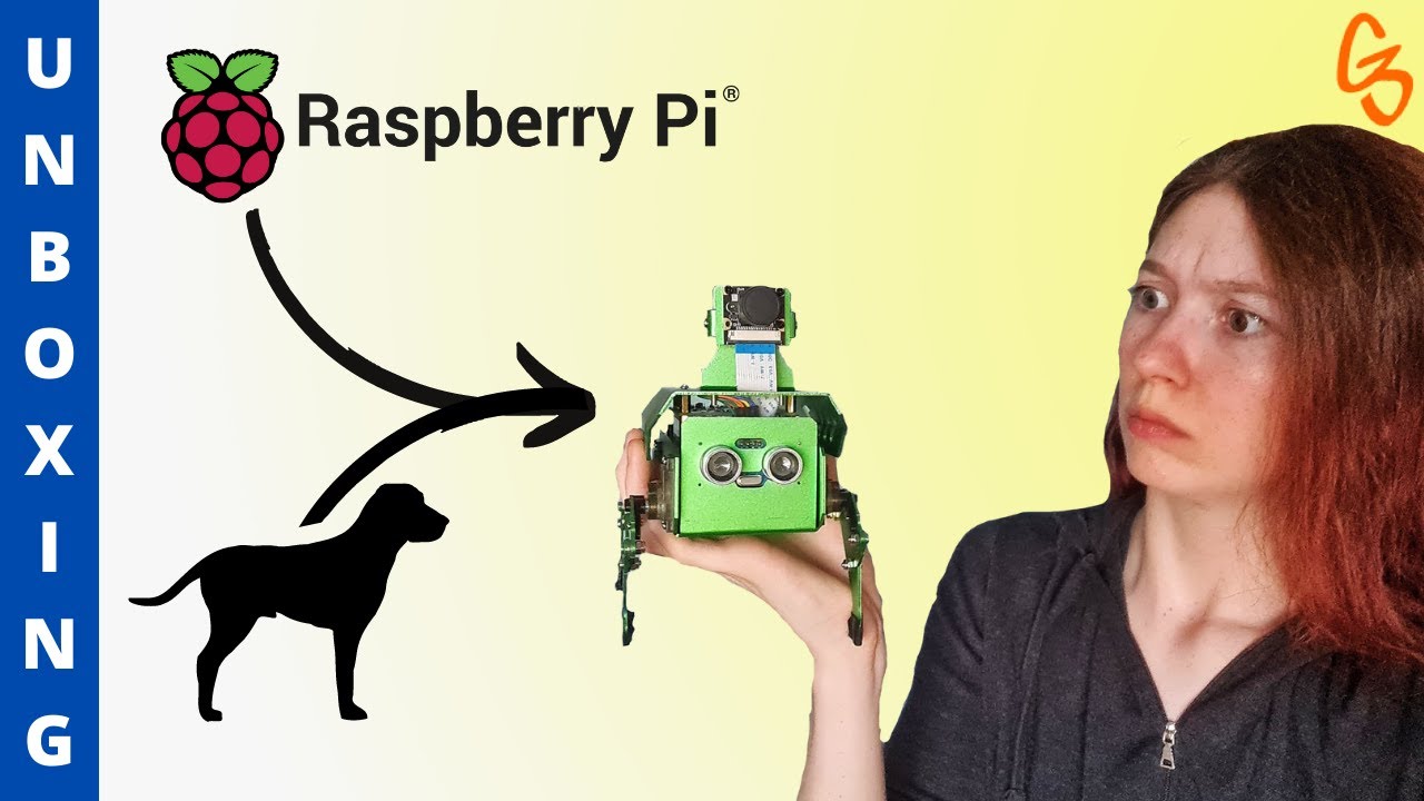 Il mio primo ROBOT con RASPBERRY Pi || Pippy