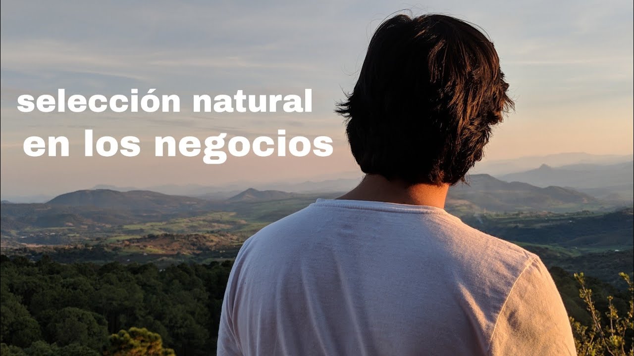 Selecci&oacute;n natural de Charles Darwin aplicada a los negocios - Facilistrate ⛰️🏢💲