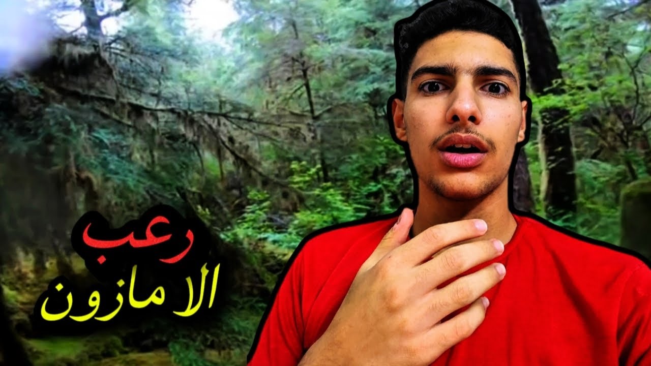 الجانب المظلم من رئة الارض؟! (غابة الامازون) 