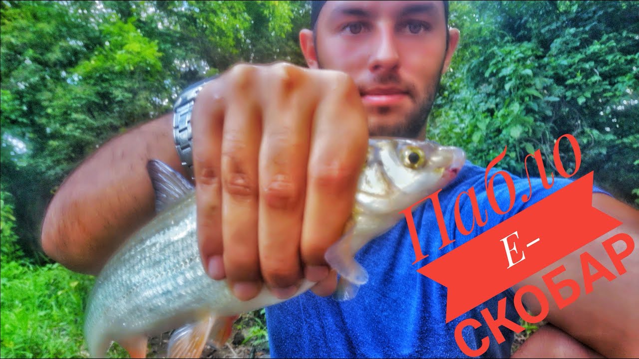 Риболов на река Янтра на плувка. Хванах 5 вида риба