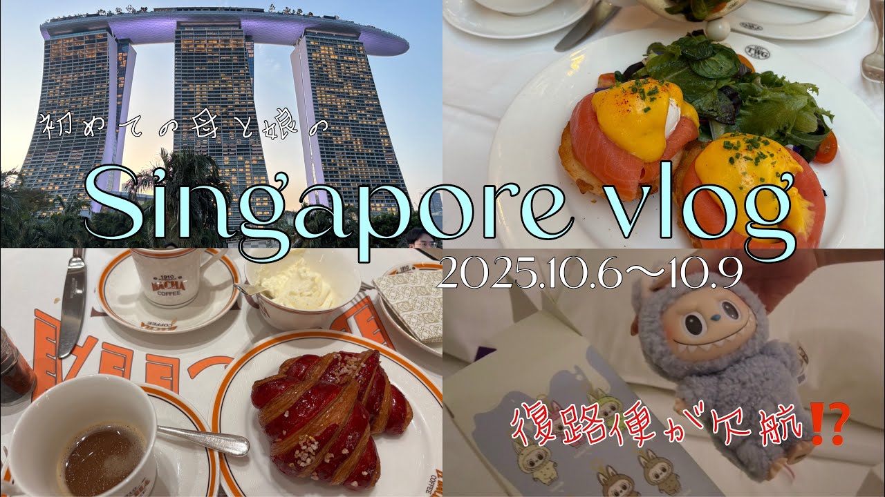 親子旅　初めてのシンガポール　〜復路便が欠航で大ピンチ！〜