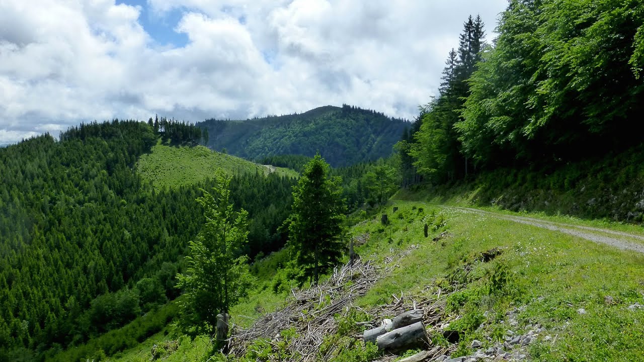 Alpine Bergtouren - (22) &Ouml;sterreich, Gro&szlig;er Sulzberg