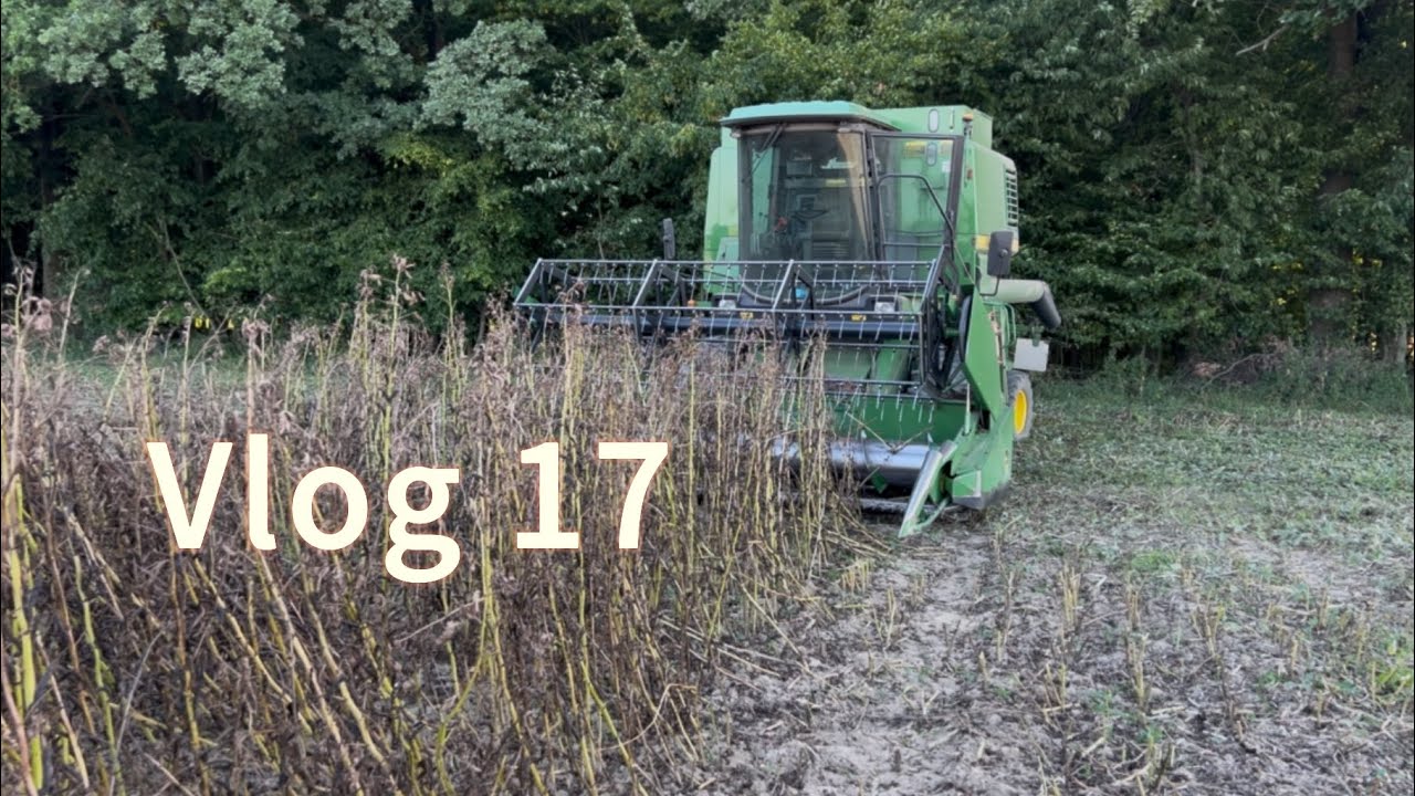 Vlog 17. Zbi&oacute;r bobiku. John Deere 1177
