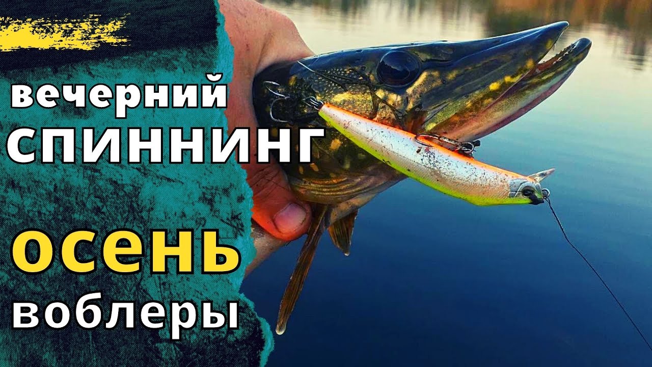 Вечерний выход щуки  в октябре .Отличные поклевки !!!!! Спиннинг.