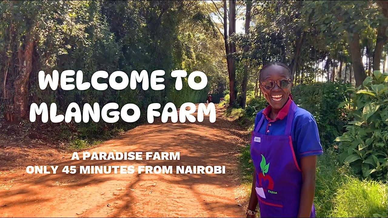 A walking tour around Mlango Farm