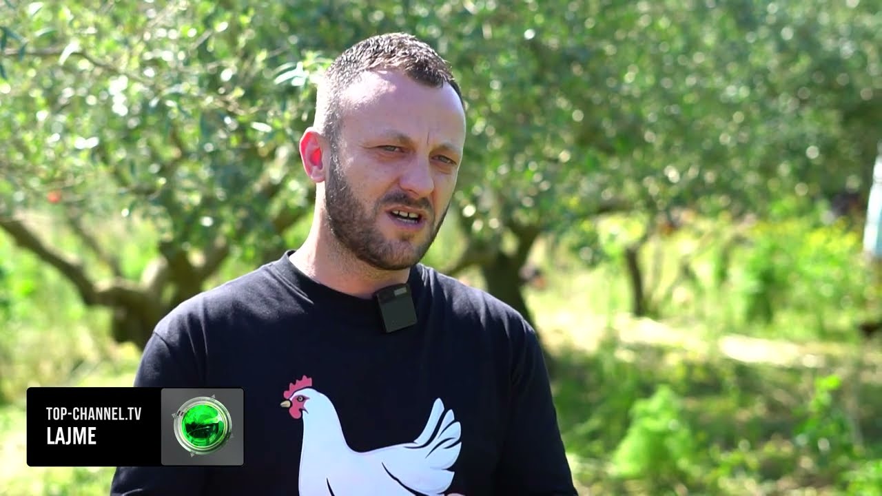 Top Channel/ Në kërkim të shijes së humbur/ Fermeri nga Tirana që rrit pula fshati në Shijak