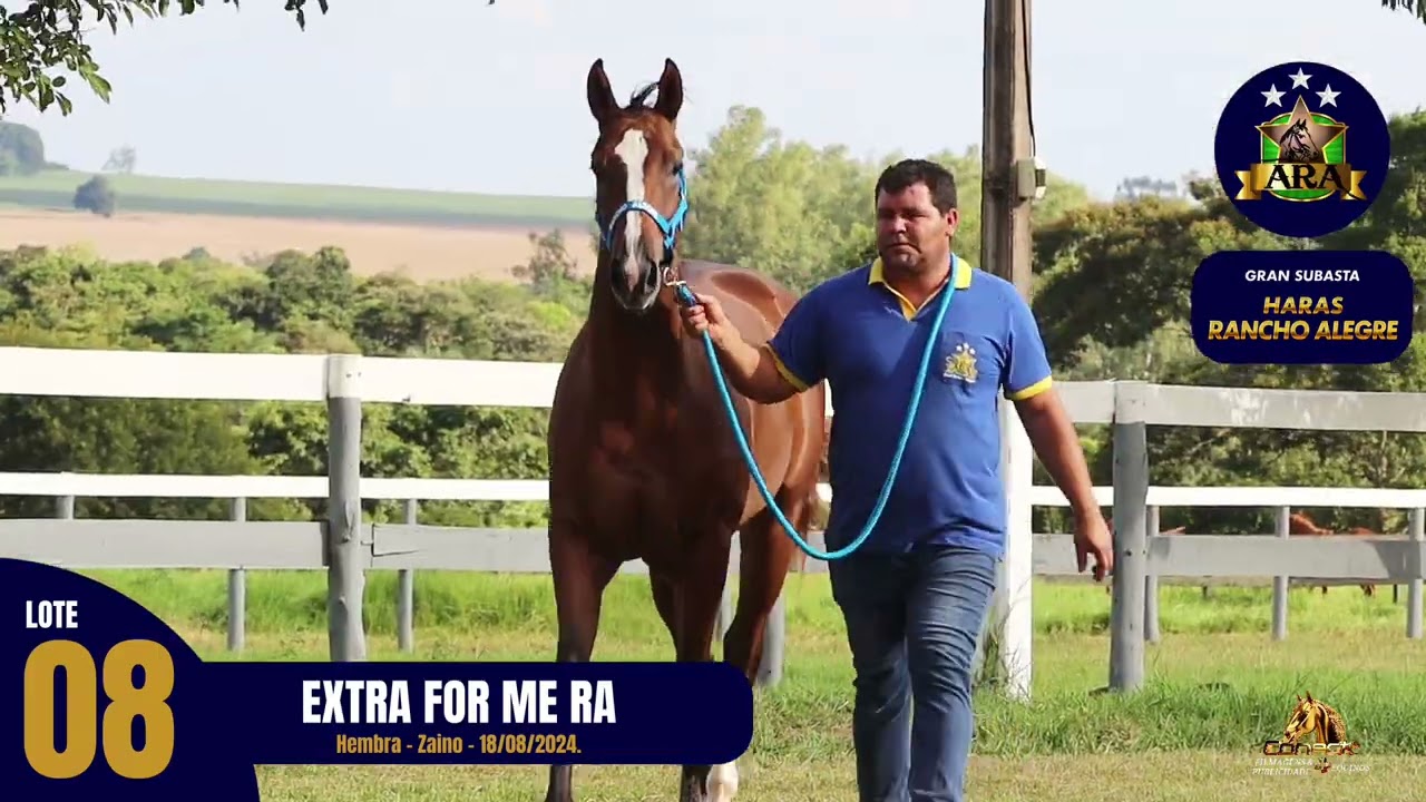 LOTE. 08 - EXTRA FOR ME RA