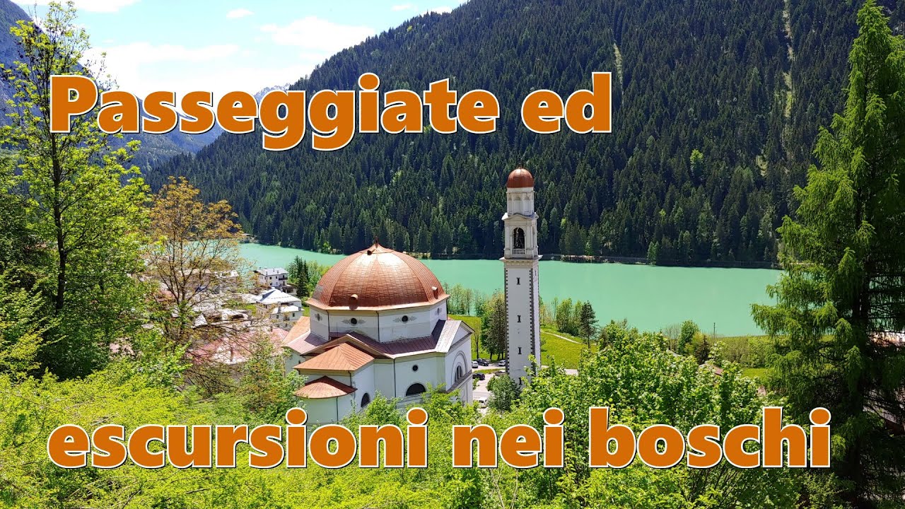 Alcune passeggiate ed escursioni nei boschi del Centro Cadore