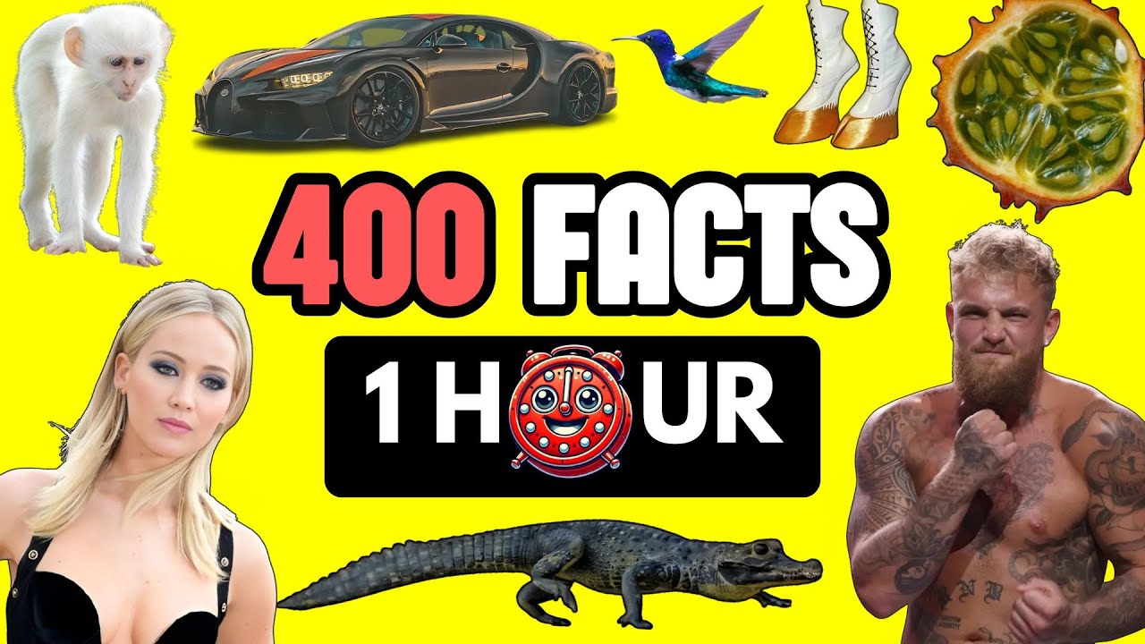400 AMAZING Random FACTS In ONE HOUR That Will Surprise You ⏰| #5