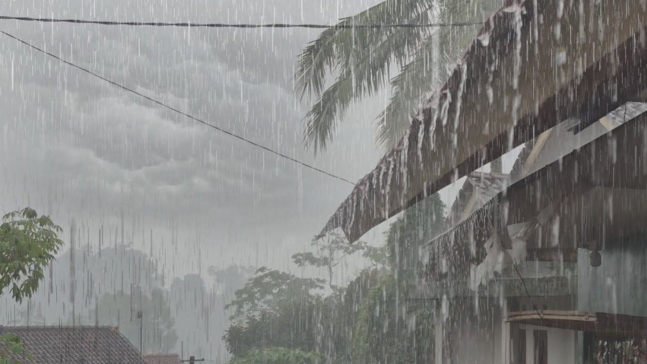Quiet Village Rain Atmosphere | ASMR for Sleeping Fast