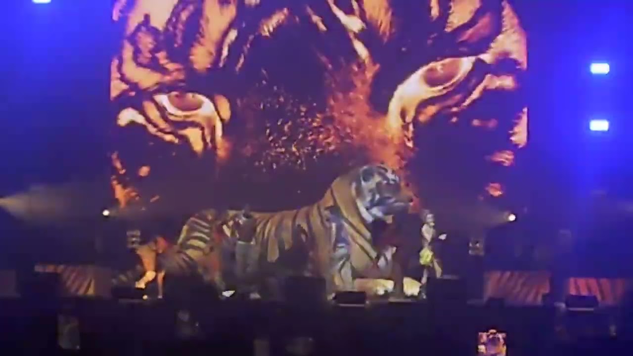 Tyla barcadi dancing at the Summer Sonic Festival in Osaka