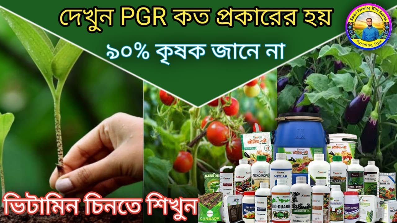 ১ মিনিটে চিনুন গাছের Vitamin এবং PGR- কৃষক এখানেই ভুল করে! Farmer Must Watch