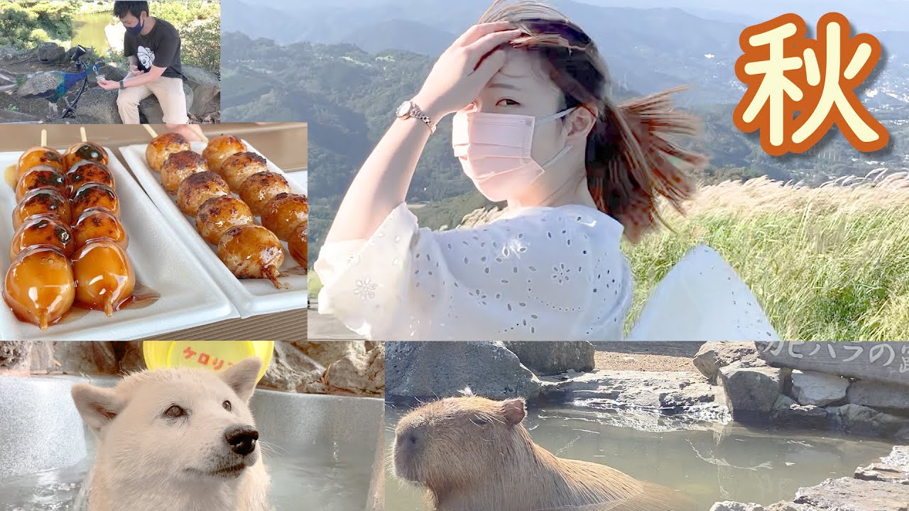 人生最高の一日、しばわんこ生活復活いたしました。【柴犬＆カピバラ】