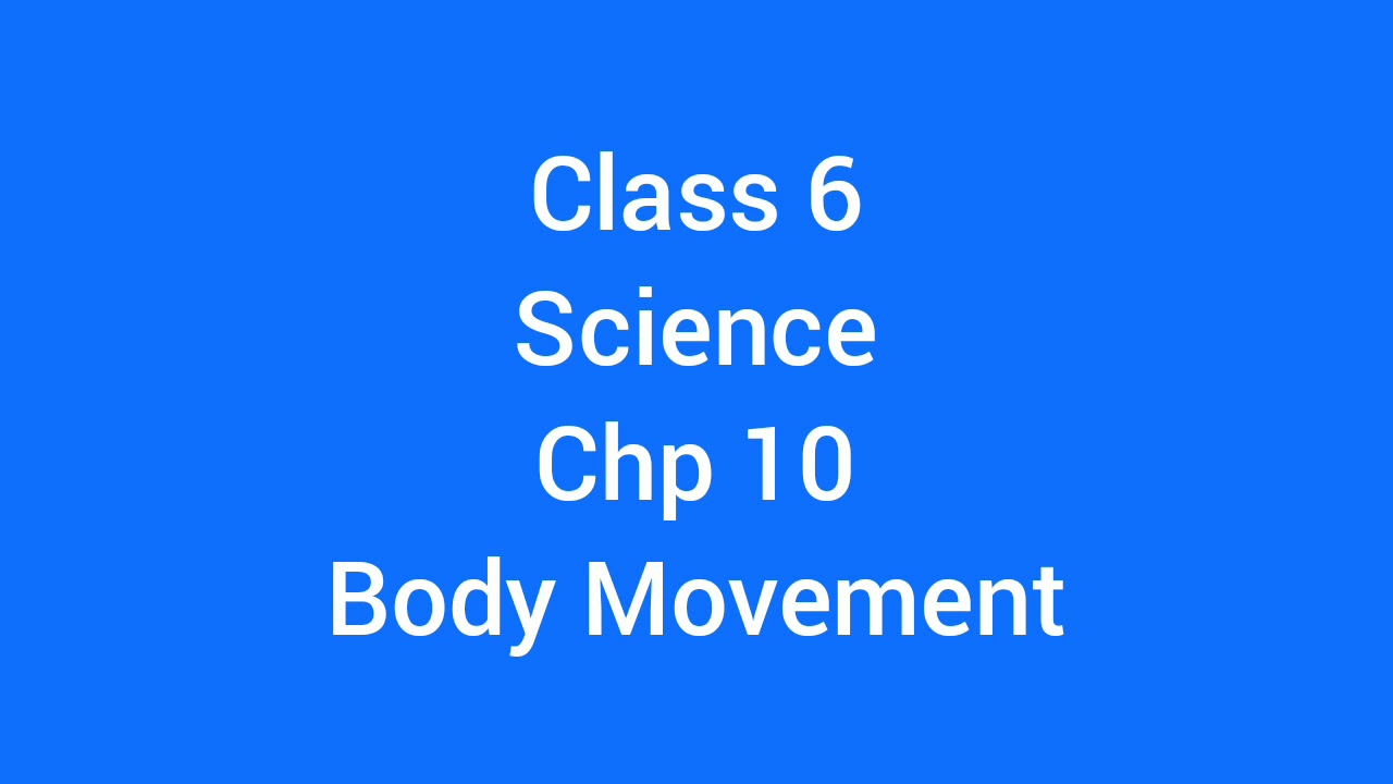 class 6, science, chapter 10, body movement